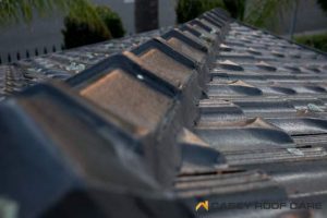 RoofRestorationNarreWarren